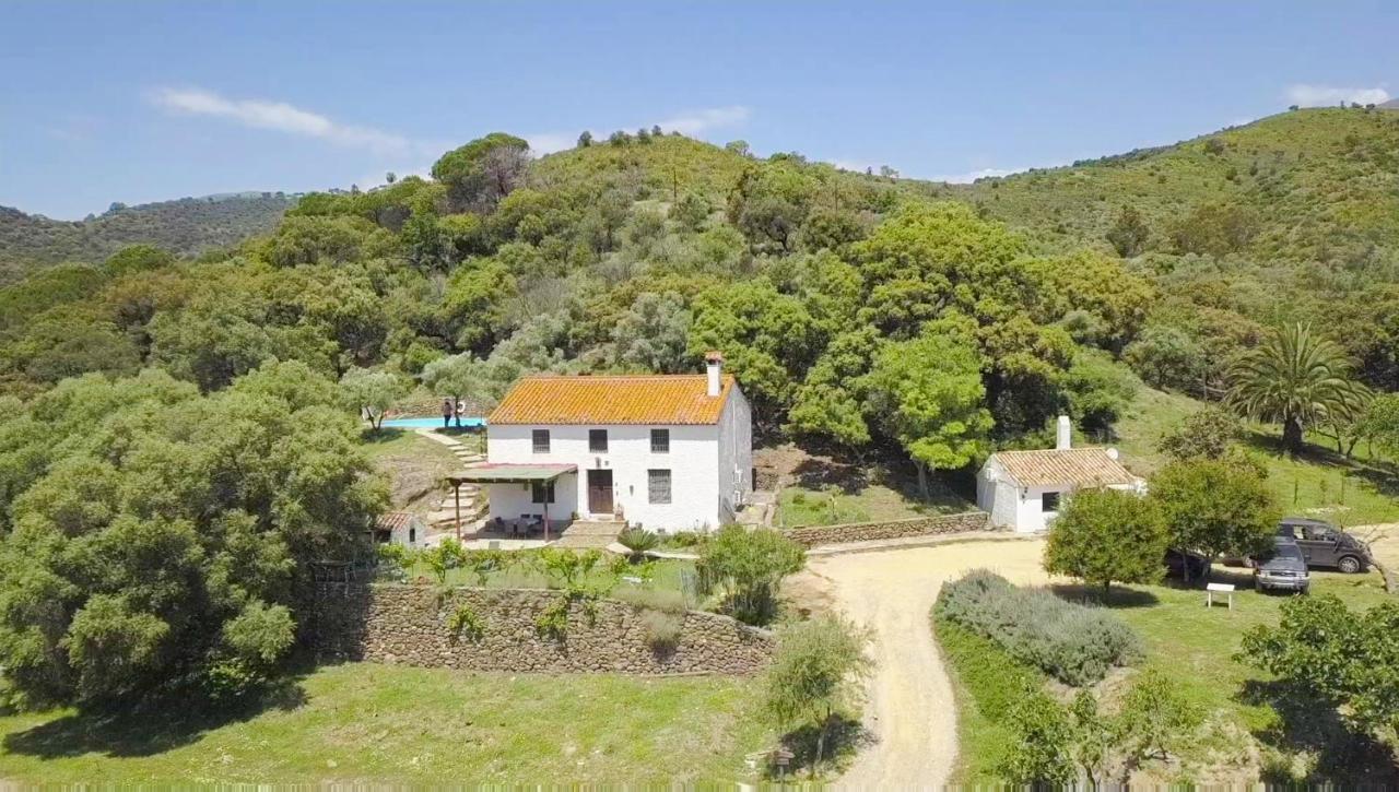 Finca Sta Teresa, Casa Grande Estepona Kültér fotó