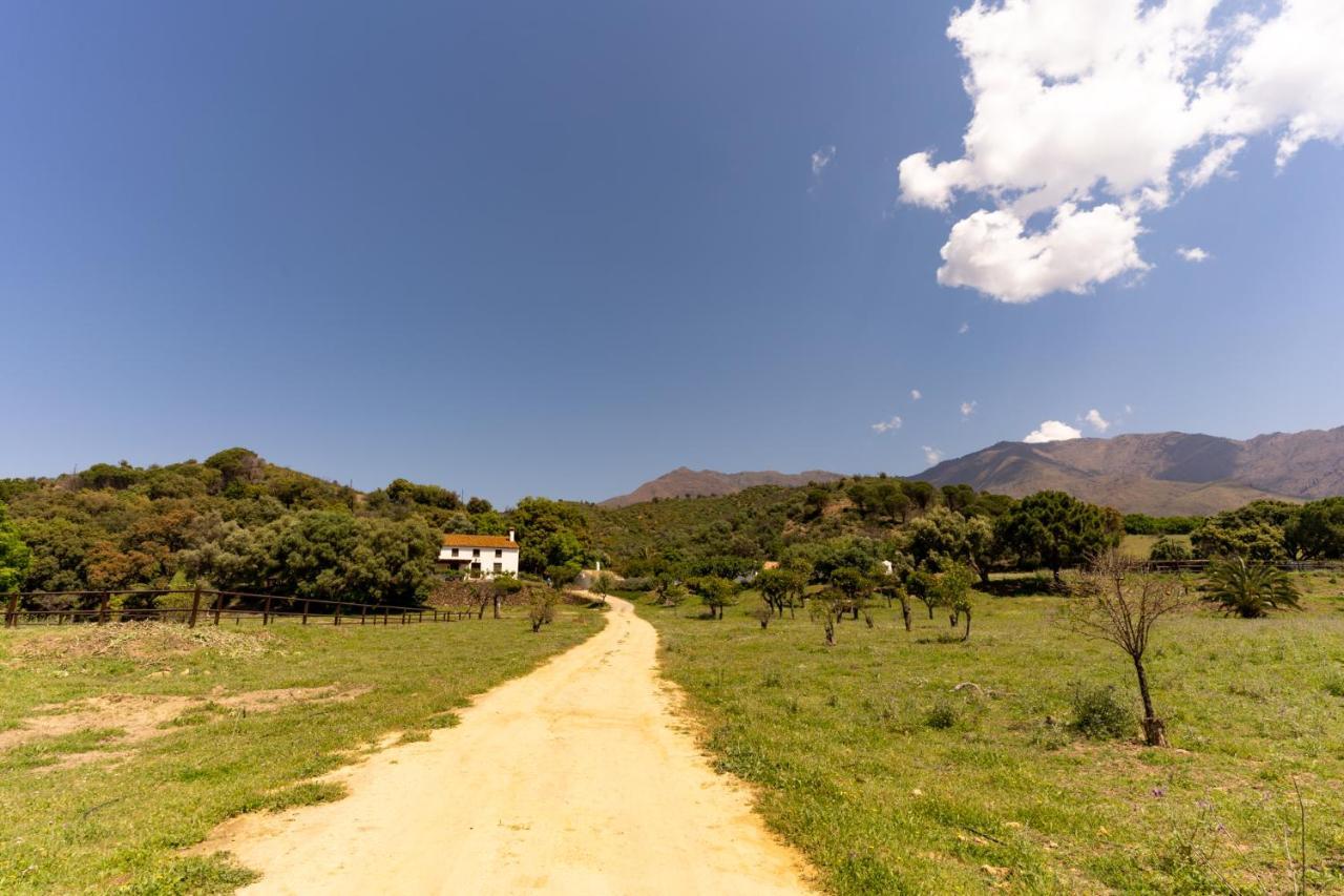 Finca Sta Teresa, Casa Grande Estepona Kültér fotó
