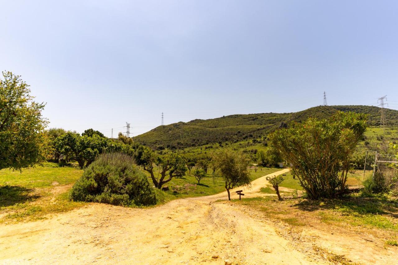 Finca Sta Teresa, Casa Grande Estepona Kültér fotó