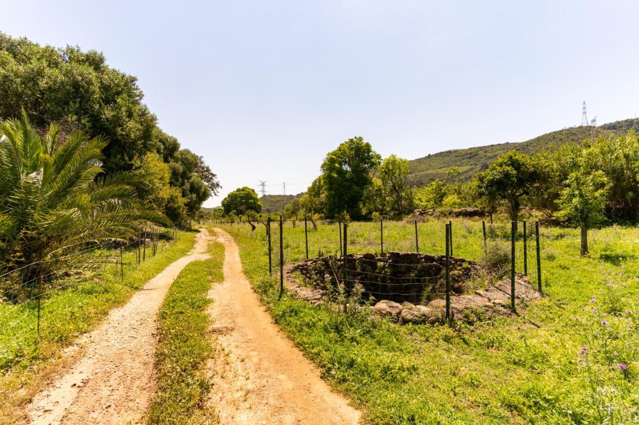 Finca Sta Teresa, Casa Grande Estepona Kültér fotó