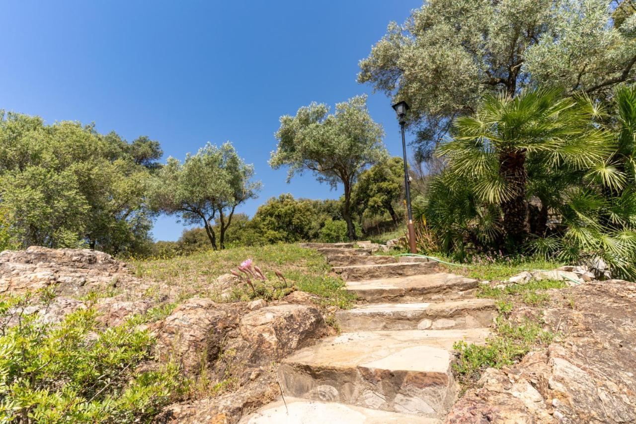 Finca Sta Teresa, Casa Grande Estepona Kültér fotó