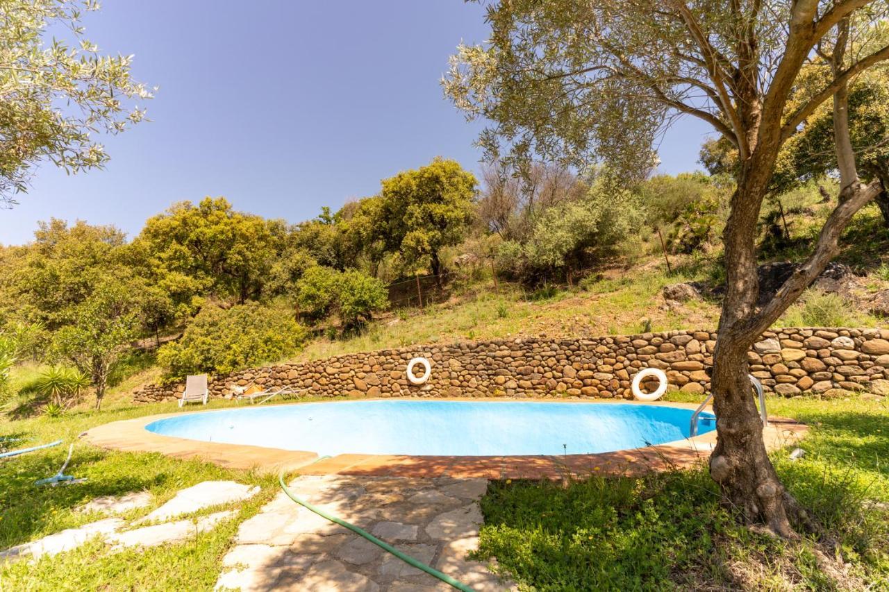 Finca Sta Teresa, Casa Grande Estepona Kültér fotó