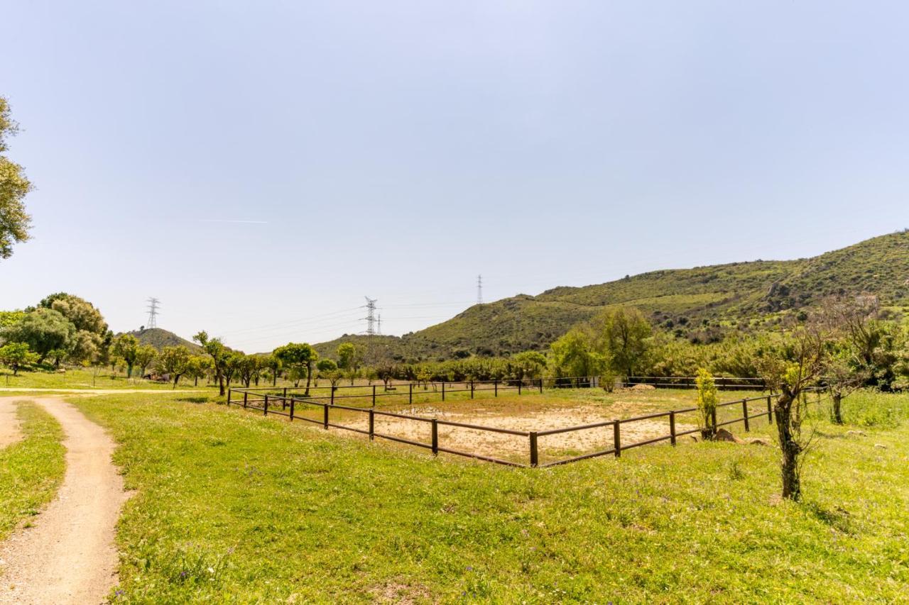 Finca Sta Teresa, Casa Grande Estepona Kültér fotó