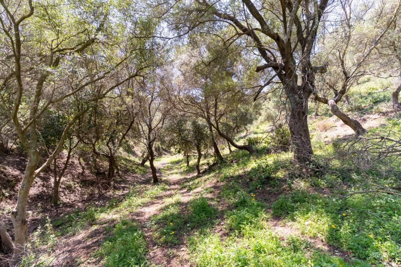 Finca Sta Teresa, Casa Grande Estepona Kültér fotó