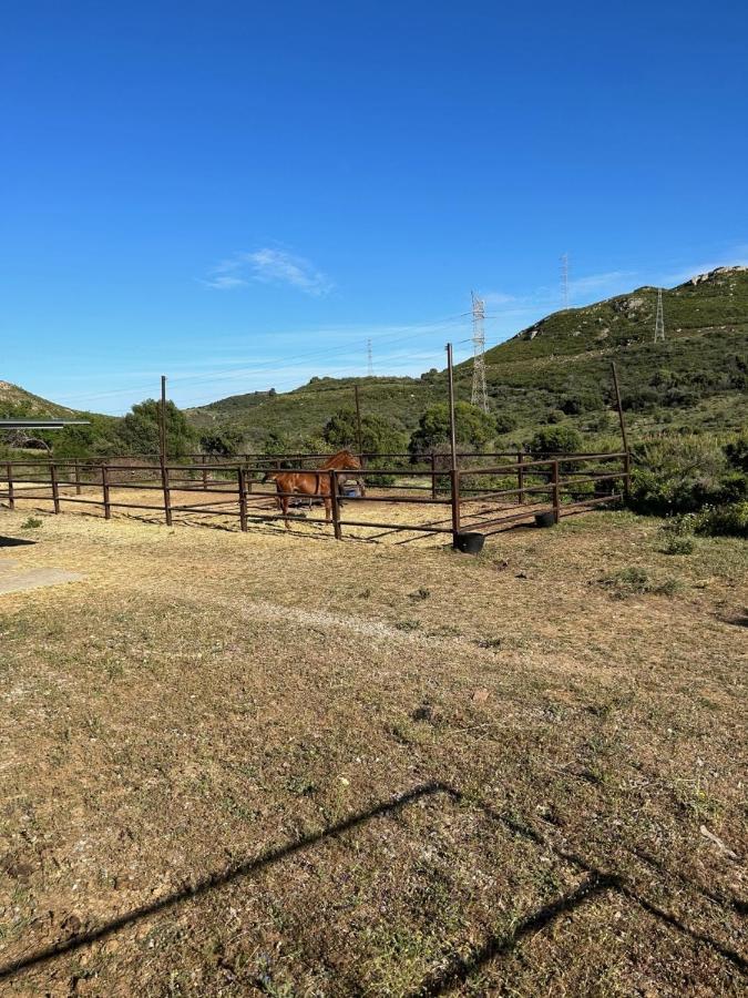 Finca Sta Teresa, Casa Grande Estepona Kültér fotó